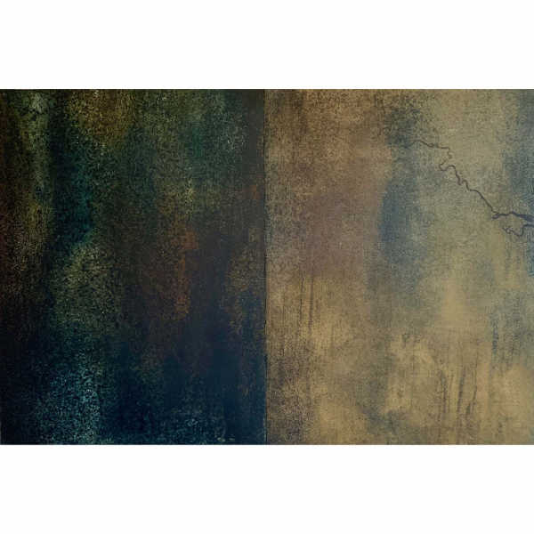 Michelle Black Portfolio